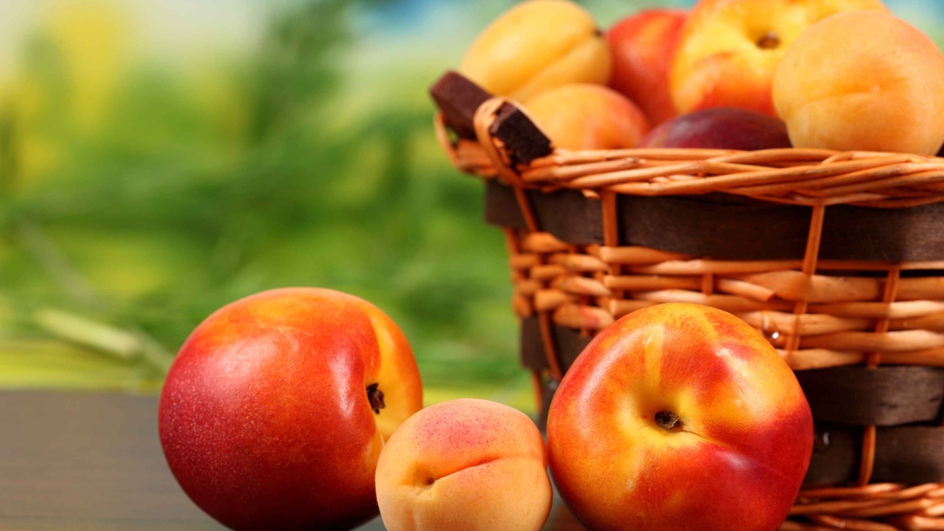 apricots, , , , fruit, , peaches