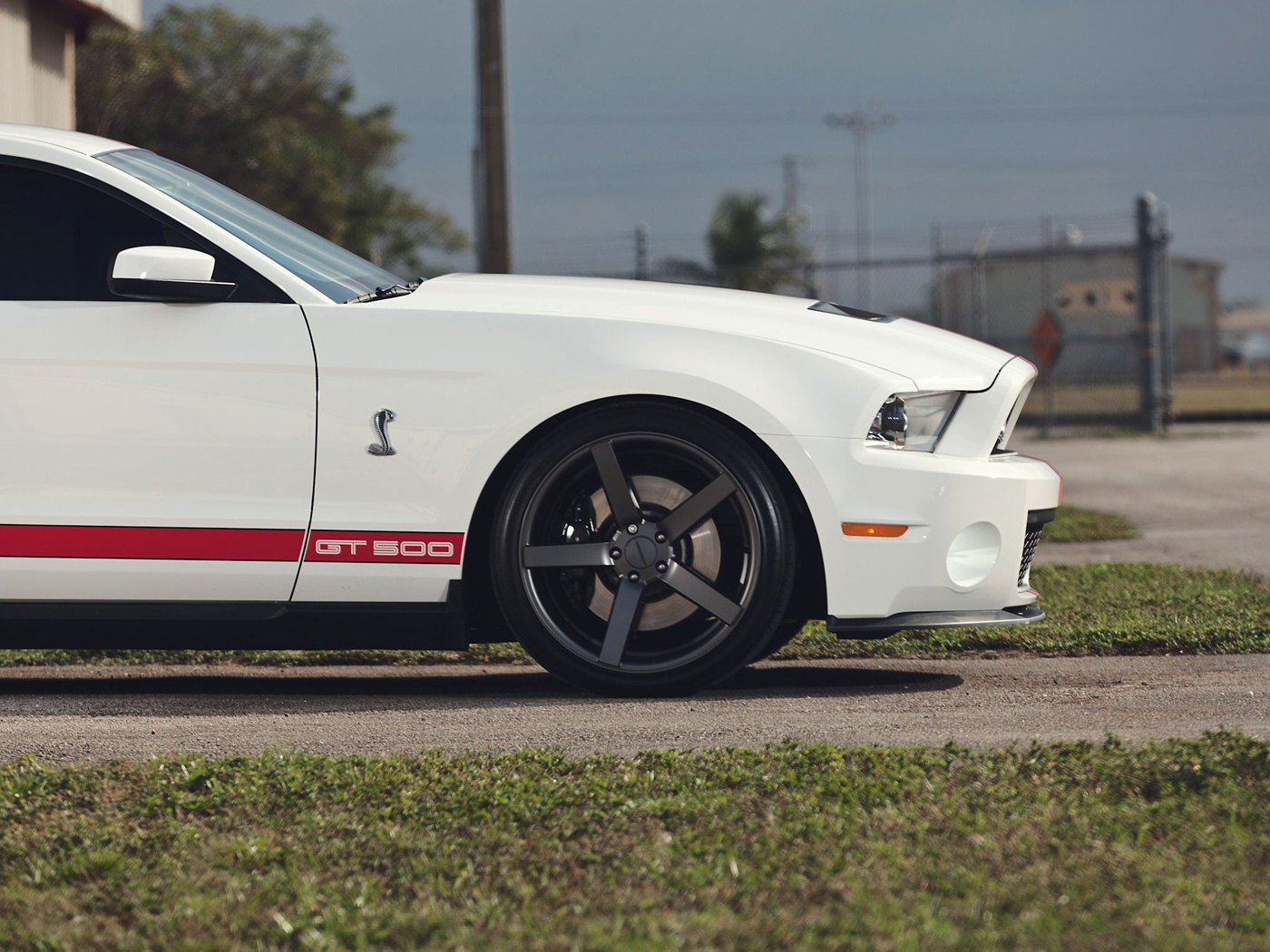 shelby, , , gt500, muscle car,  , Ford, , mustang
