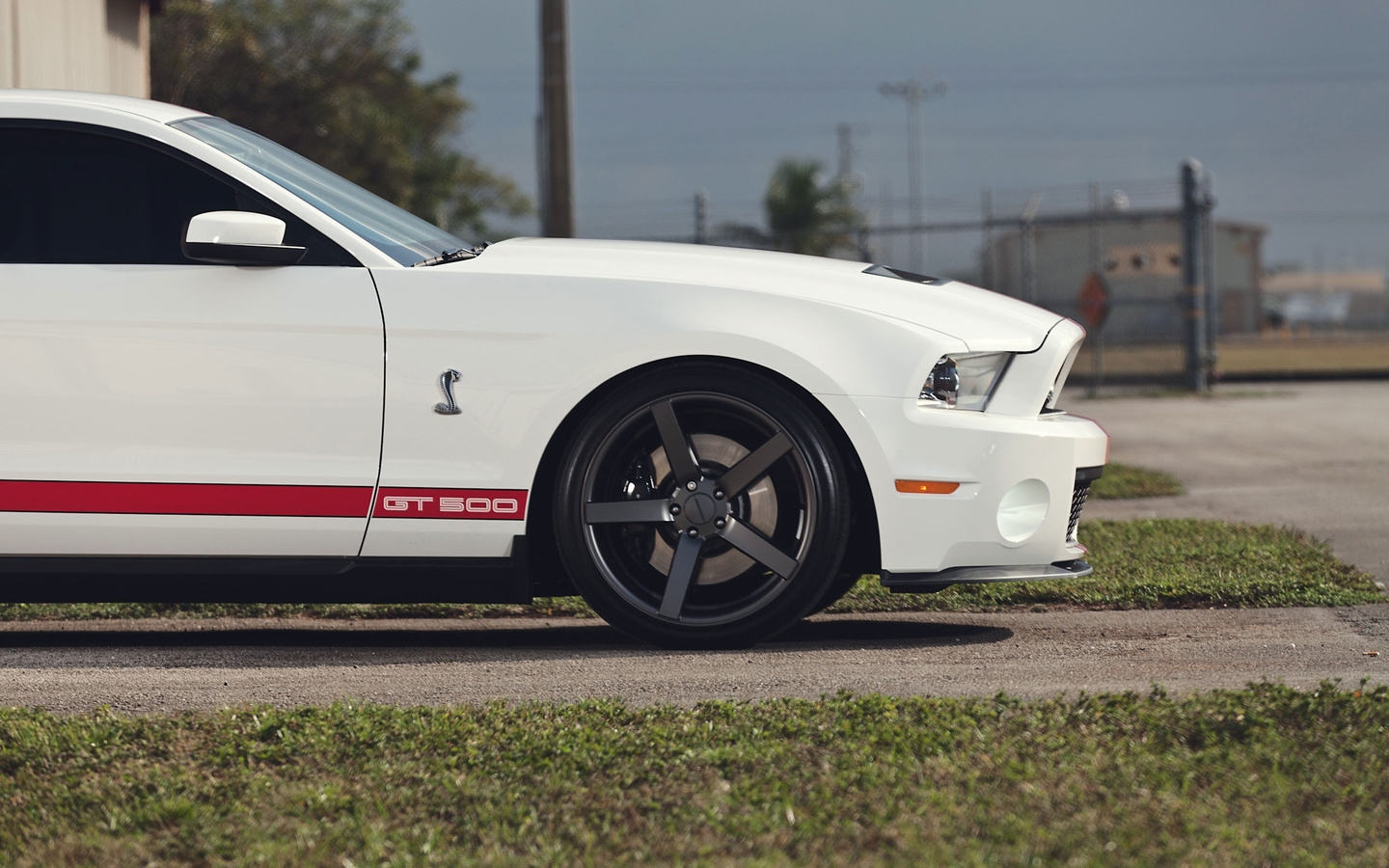 shelby, , , gt500, muscle car,  , Ford, , mustang