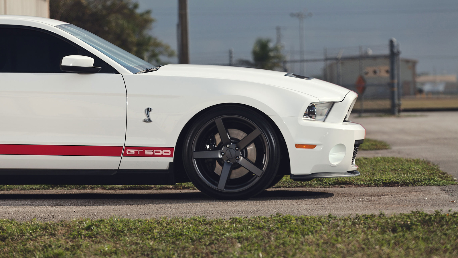 shelby, , , gt500, muscle car,  , Ford, , mustang