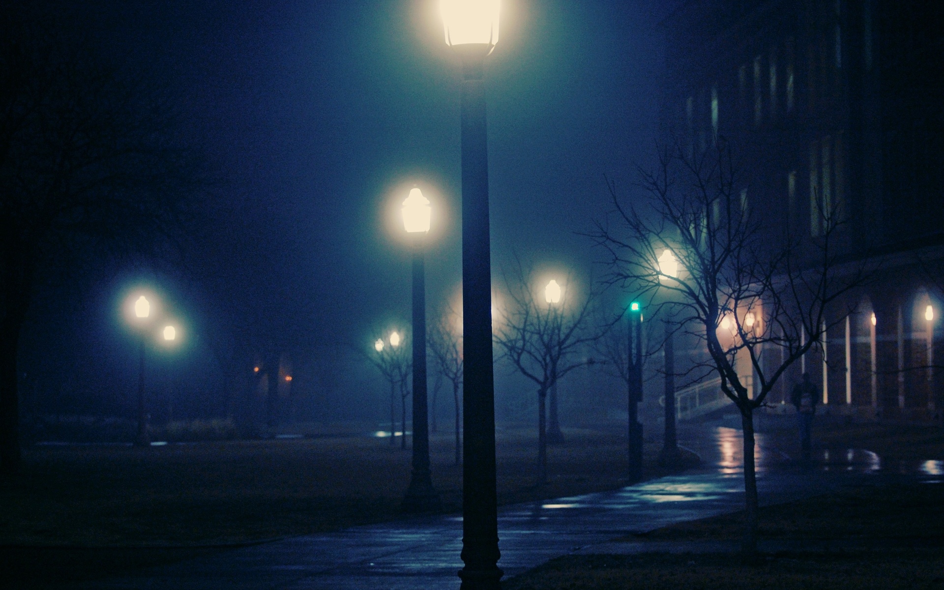 night, foggy, , , , 