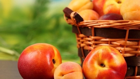 apricots, , , , fruit, , peaches