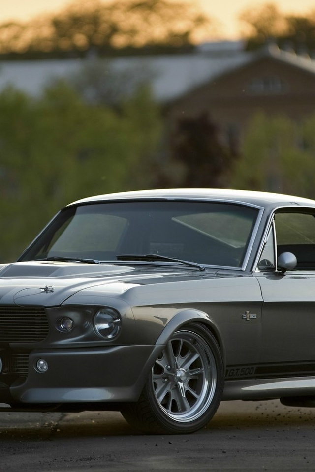 gt 500, , eleanor, Ford shelby