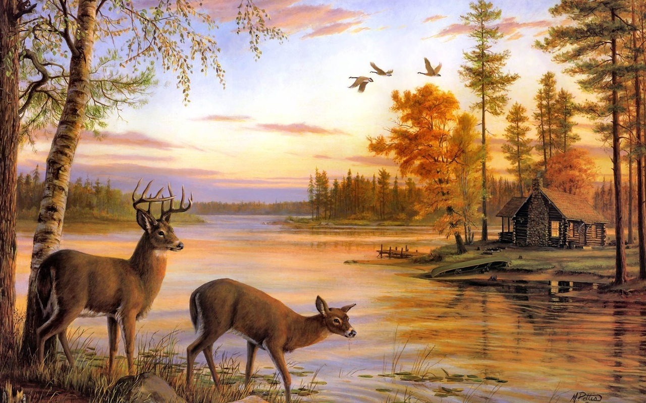 painting, river, birch, deer, mary pettis, Quiet evening, nature