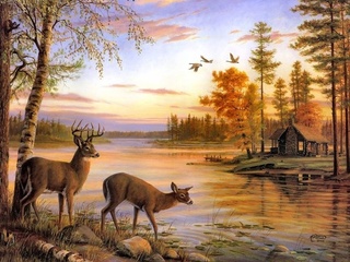 painting, river, birch, deer, mary pettis, Quiet evening, nature