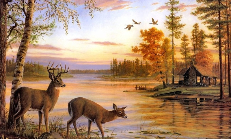 painting, river, birch, deer, mary pettis, Quiet evening, nature