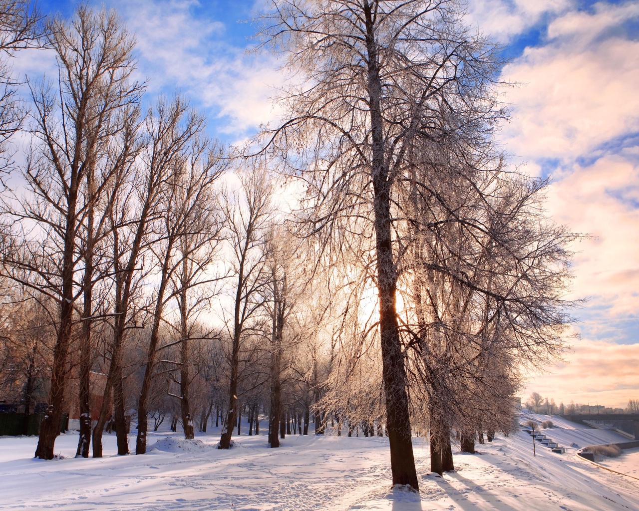 pathway, forest, nature, chill december, Winter background, festive, landscape, belarus, bright