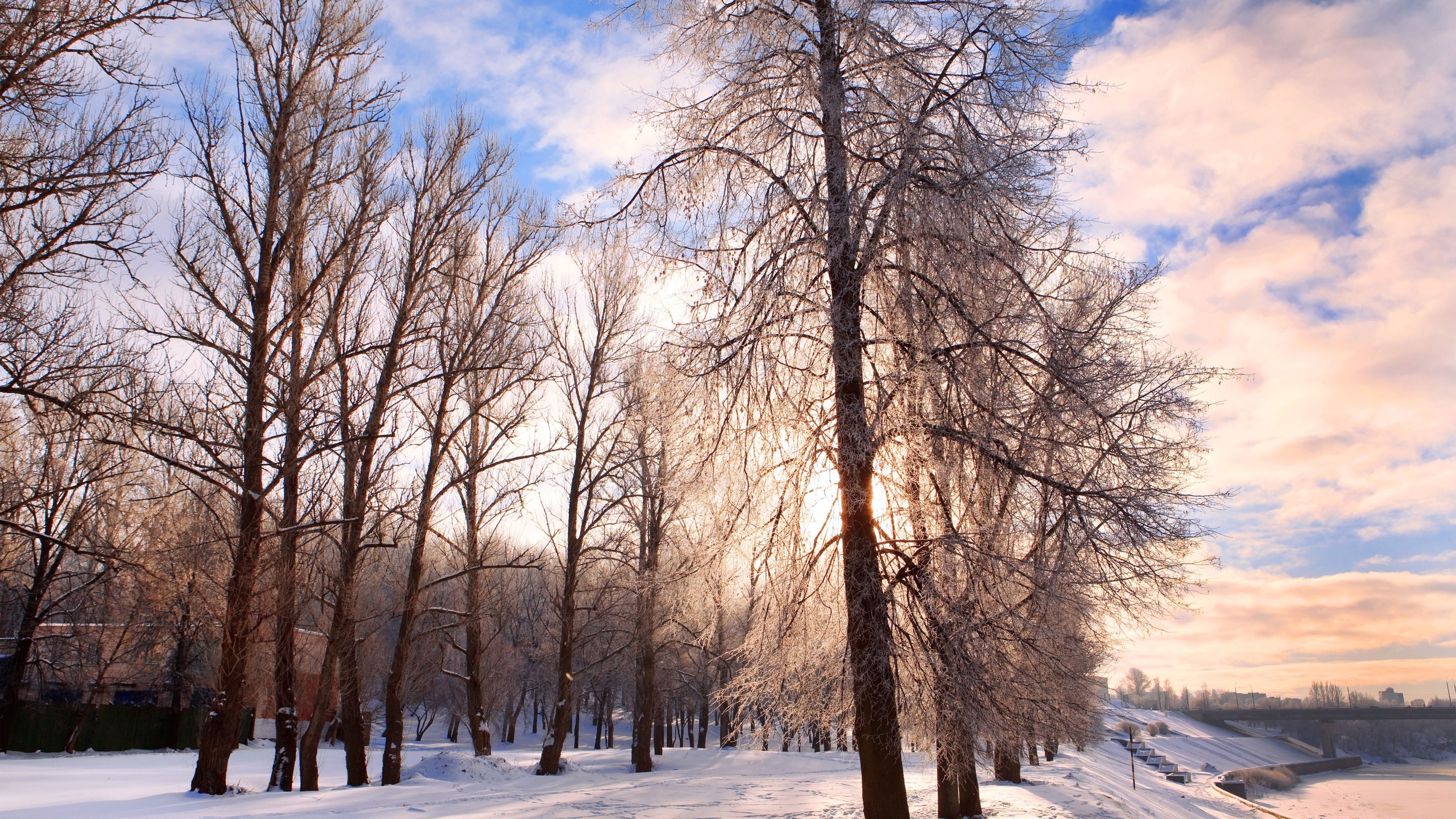 pathway, forest, nature, chill december, Winter background, festive, landscape, belarus, bright