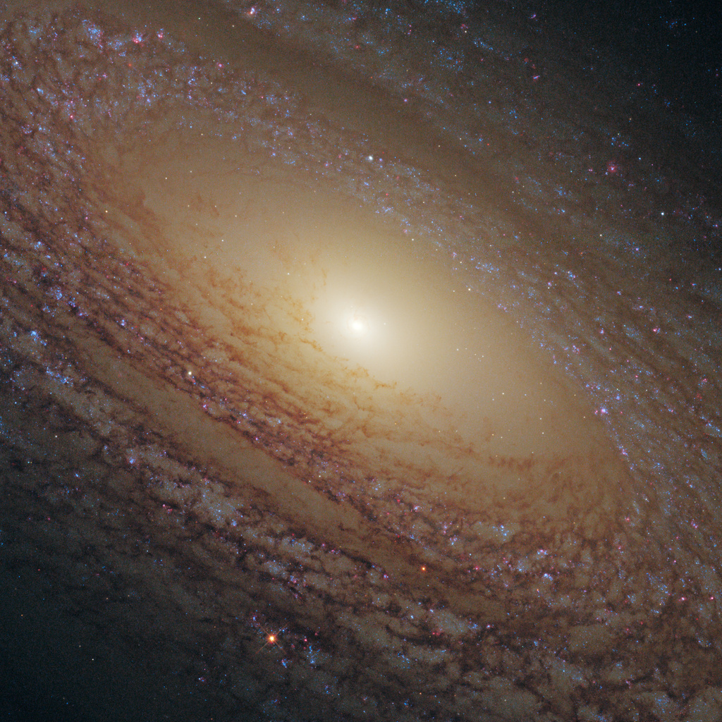 Ngc 2841, ,  