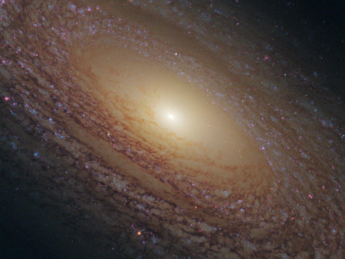 Ngc 2841, ,  