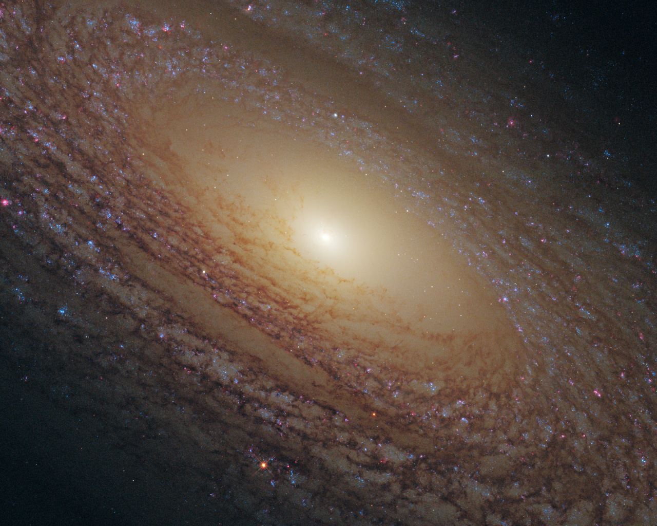 Ngc 2841, ,  