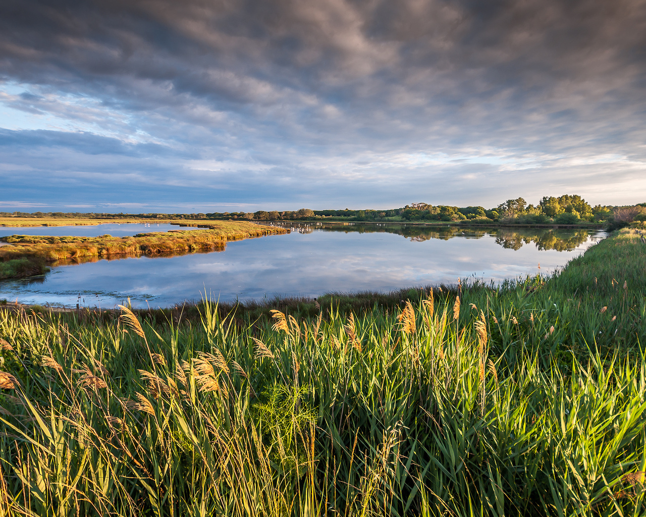 , , , Petite camargue, , , france