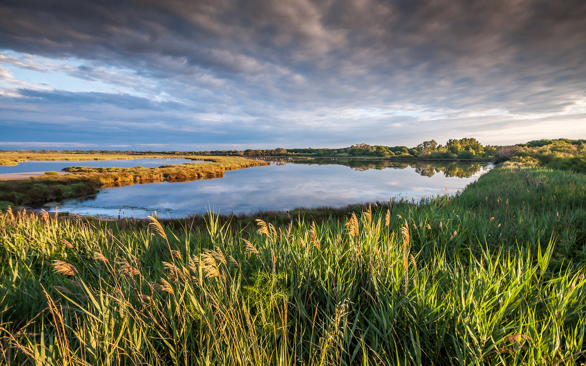 , , , Petite camargue, , , france