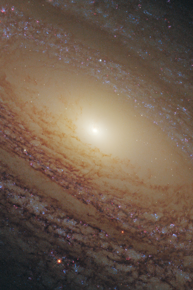 Ngc 2841, ,  