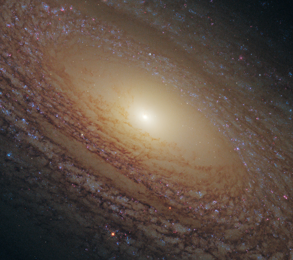 Ngc 2841, ,  