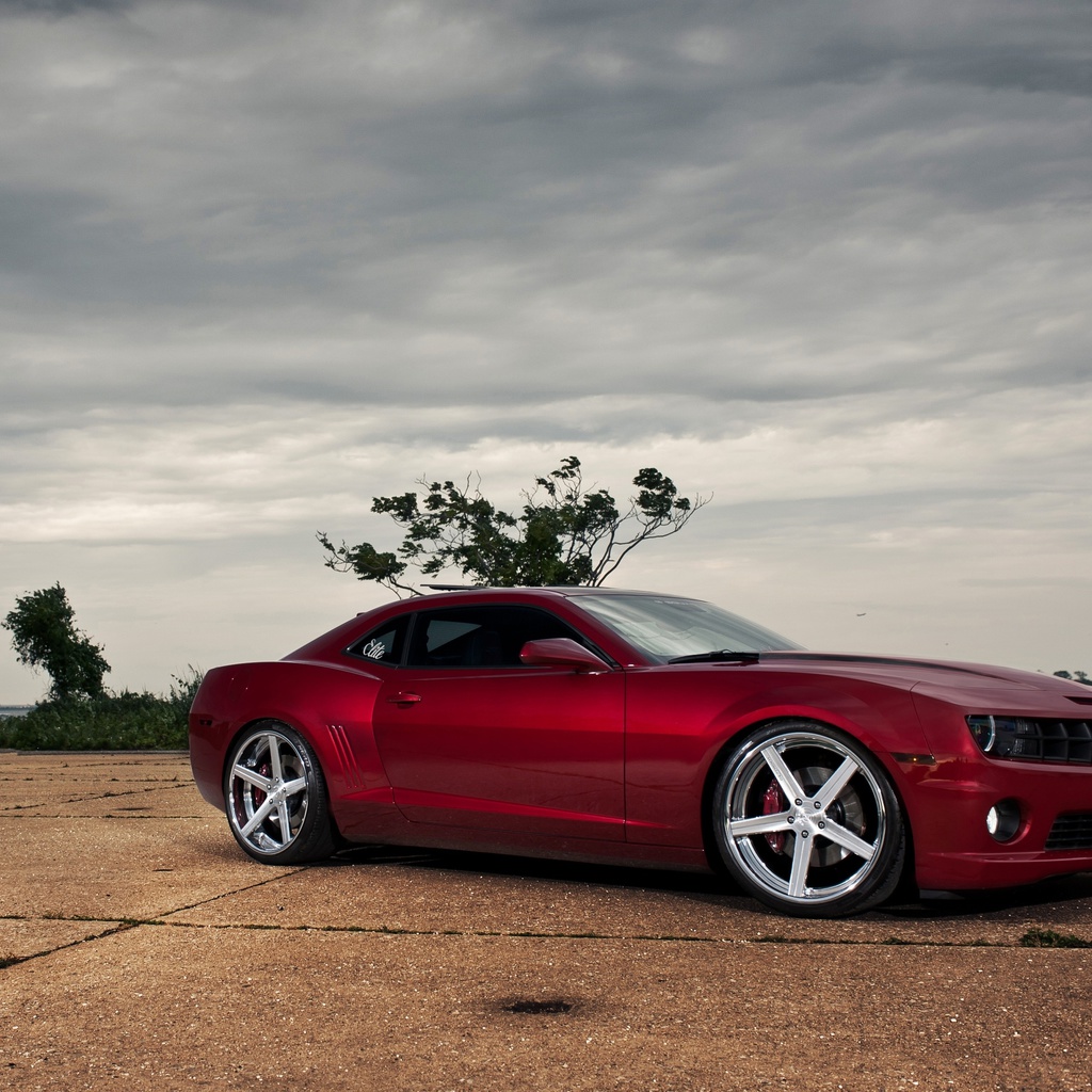  , , camaro ss,  , Chevrolet, , red