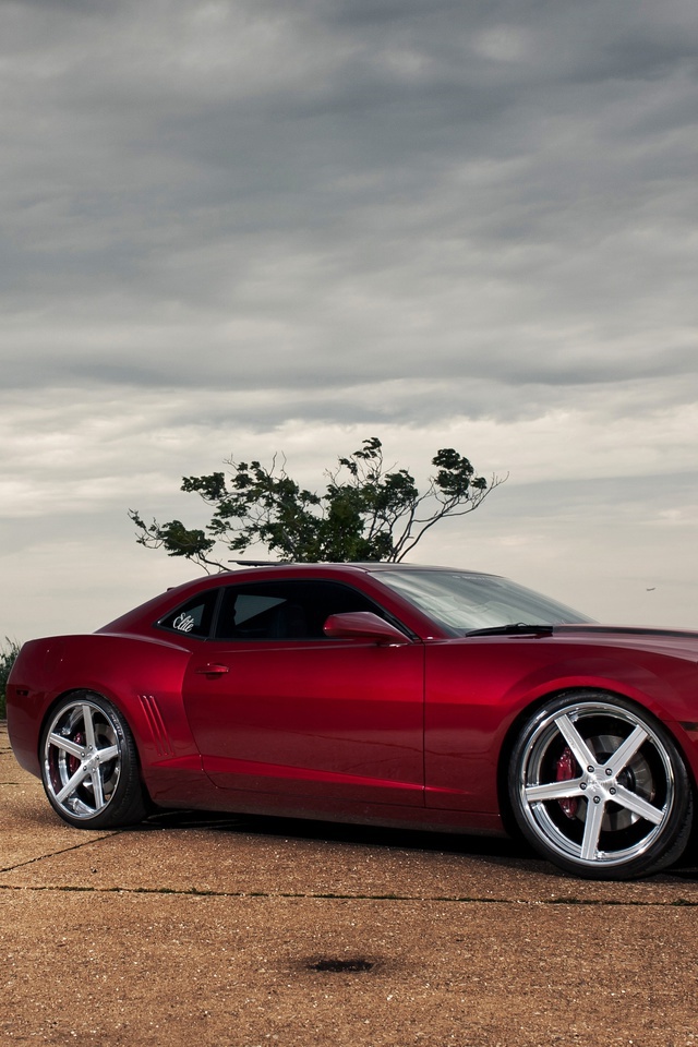  , , camaro ss,  , Chevrolet, , red