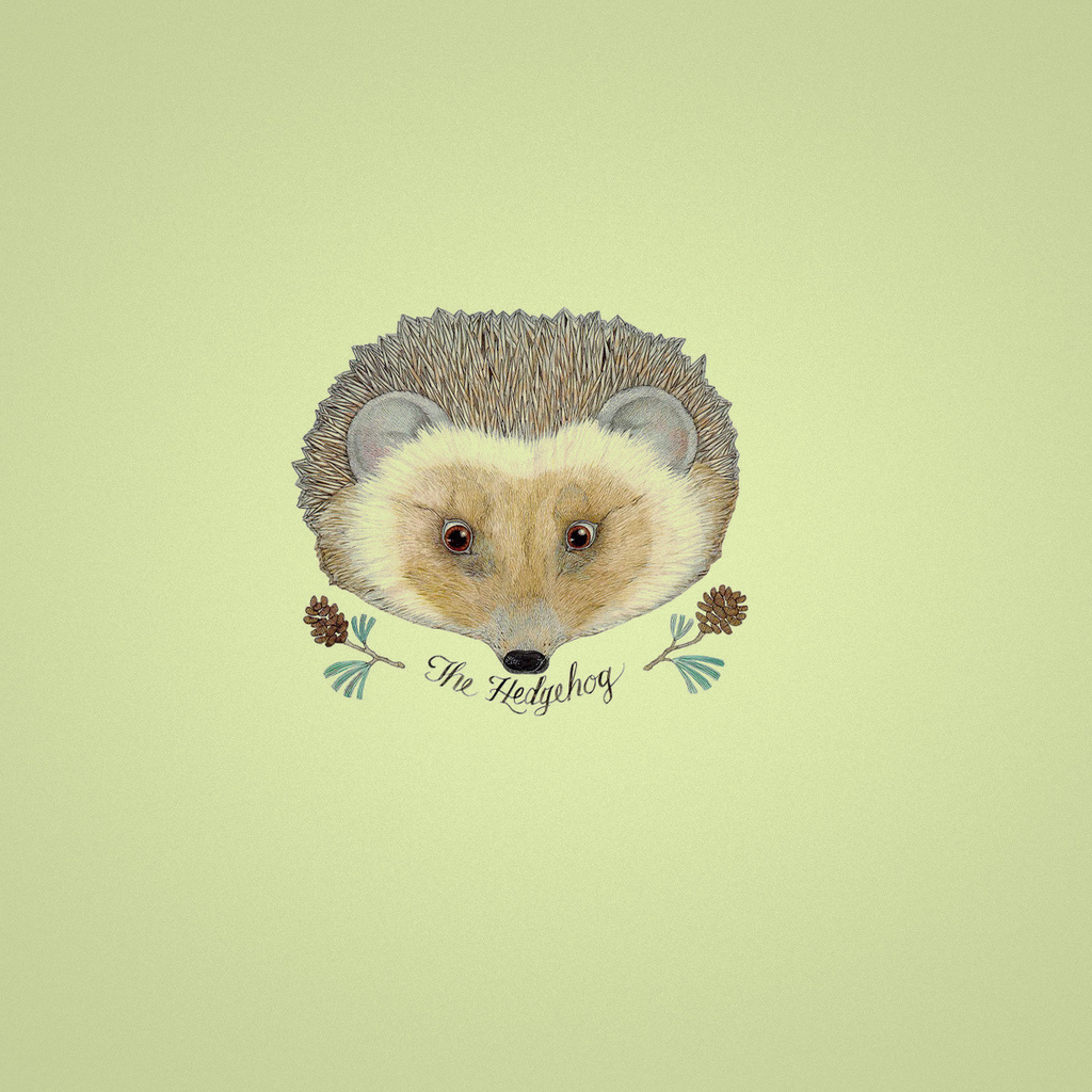 , hedgehog, , ,  , , 