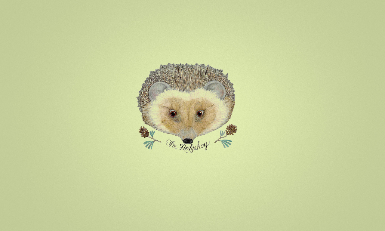 , hedgehog, , ,  , , 