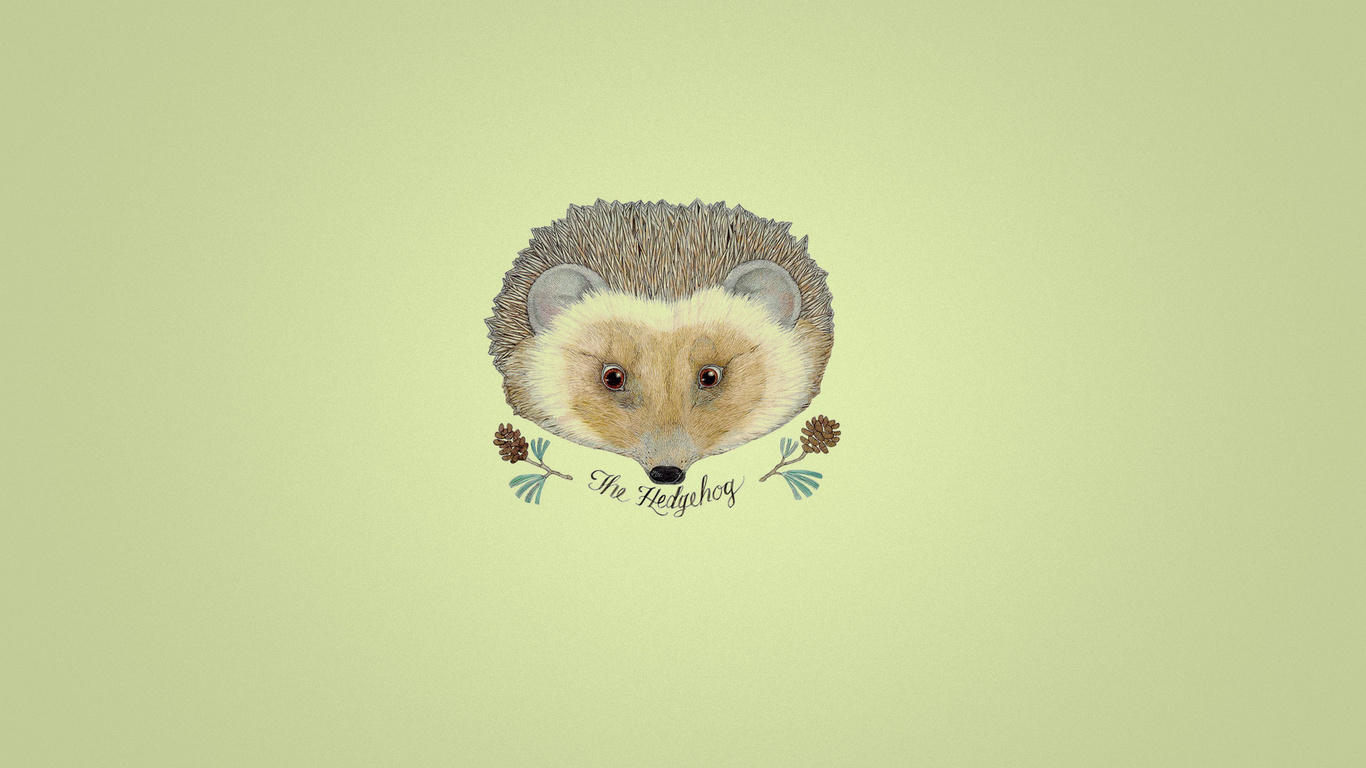 , hedgehog, , ,  , , 