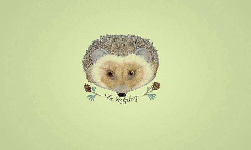 , hedgehog, , ,  , , 