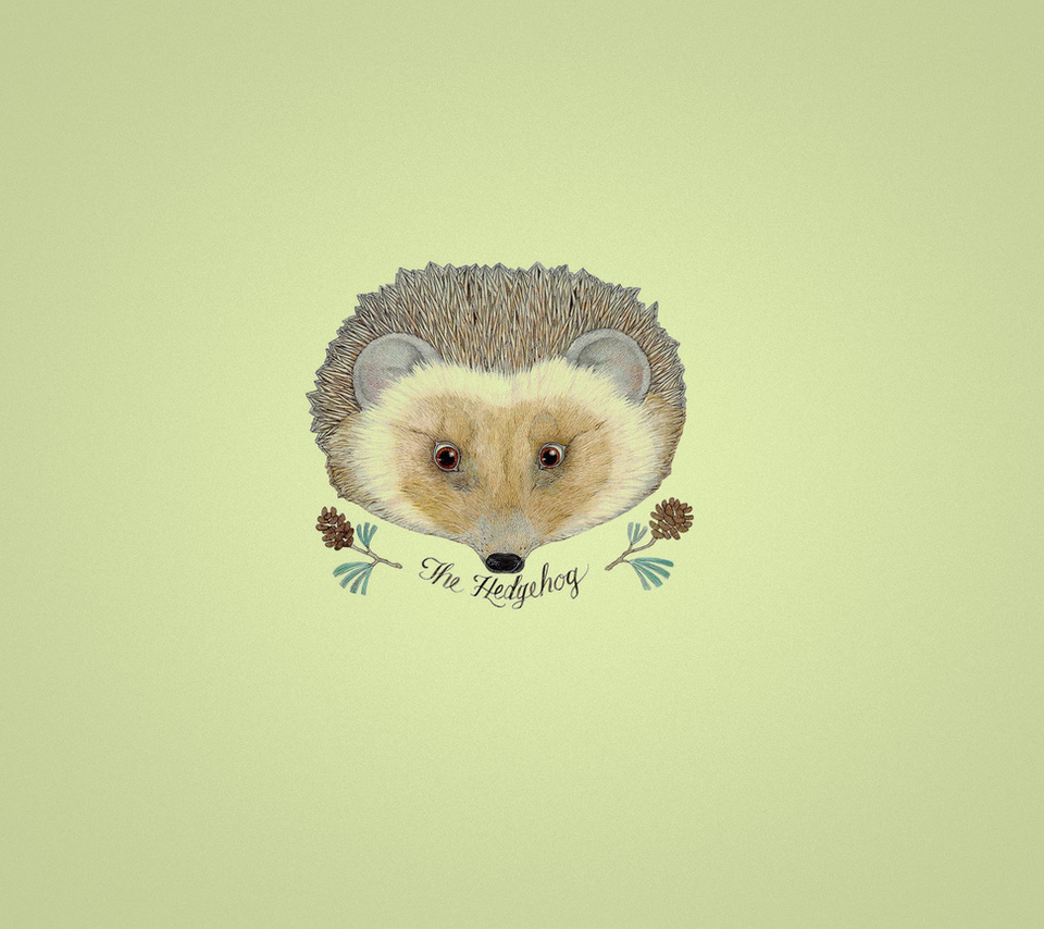 , hedgehog, , ,  , , 