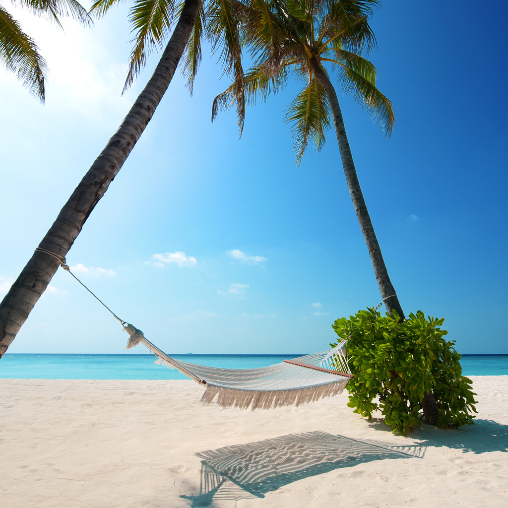 boat, Beaches, palm trees, green plant, hammock, white sand