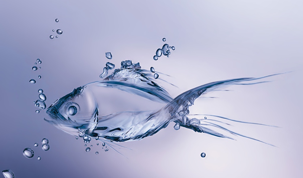 Fish, minimalism, figure, bubbles, made, , water, , , 