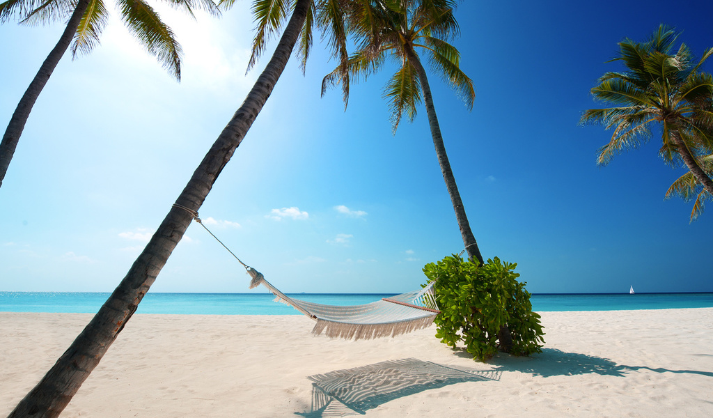 boat, Beaches, palm trees, green plant, hammock, white sand