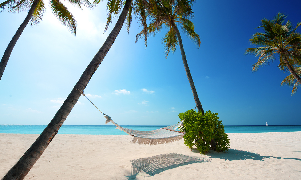 boat, Beaches, palm trees, green plant, hammock, white sand