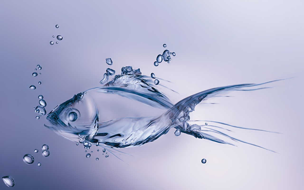 Fish, minimalism, figure, bubbles, made, , water, , , 