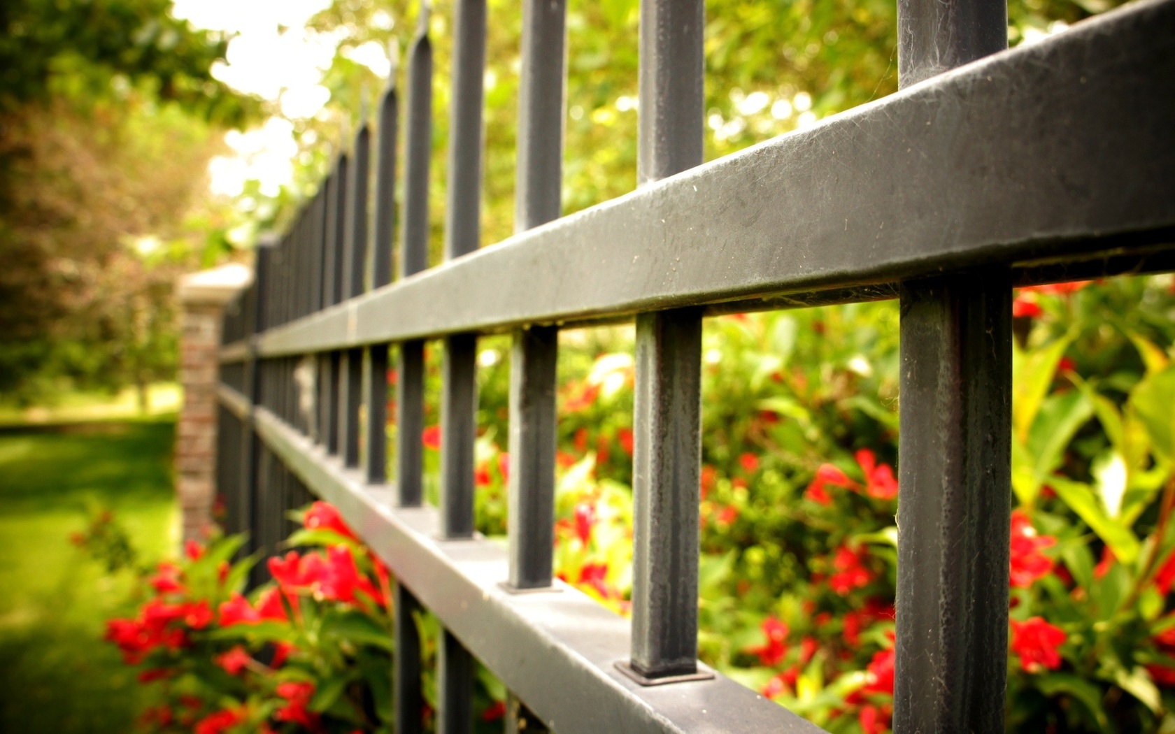 , , fence, flowers, , , , macro