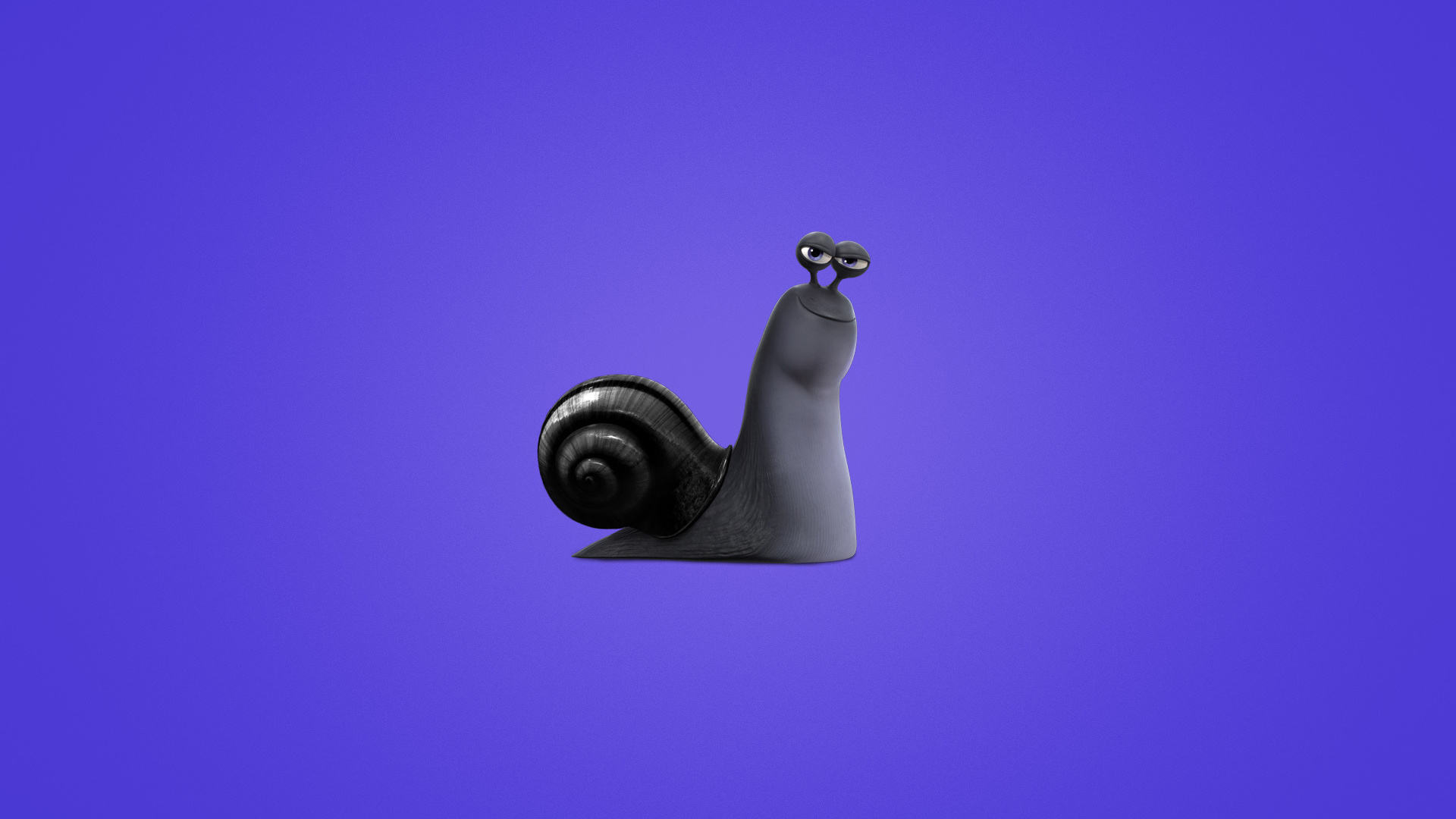 snail, , ,  , , turbo