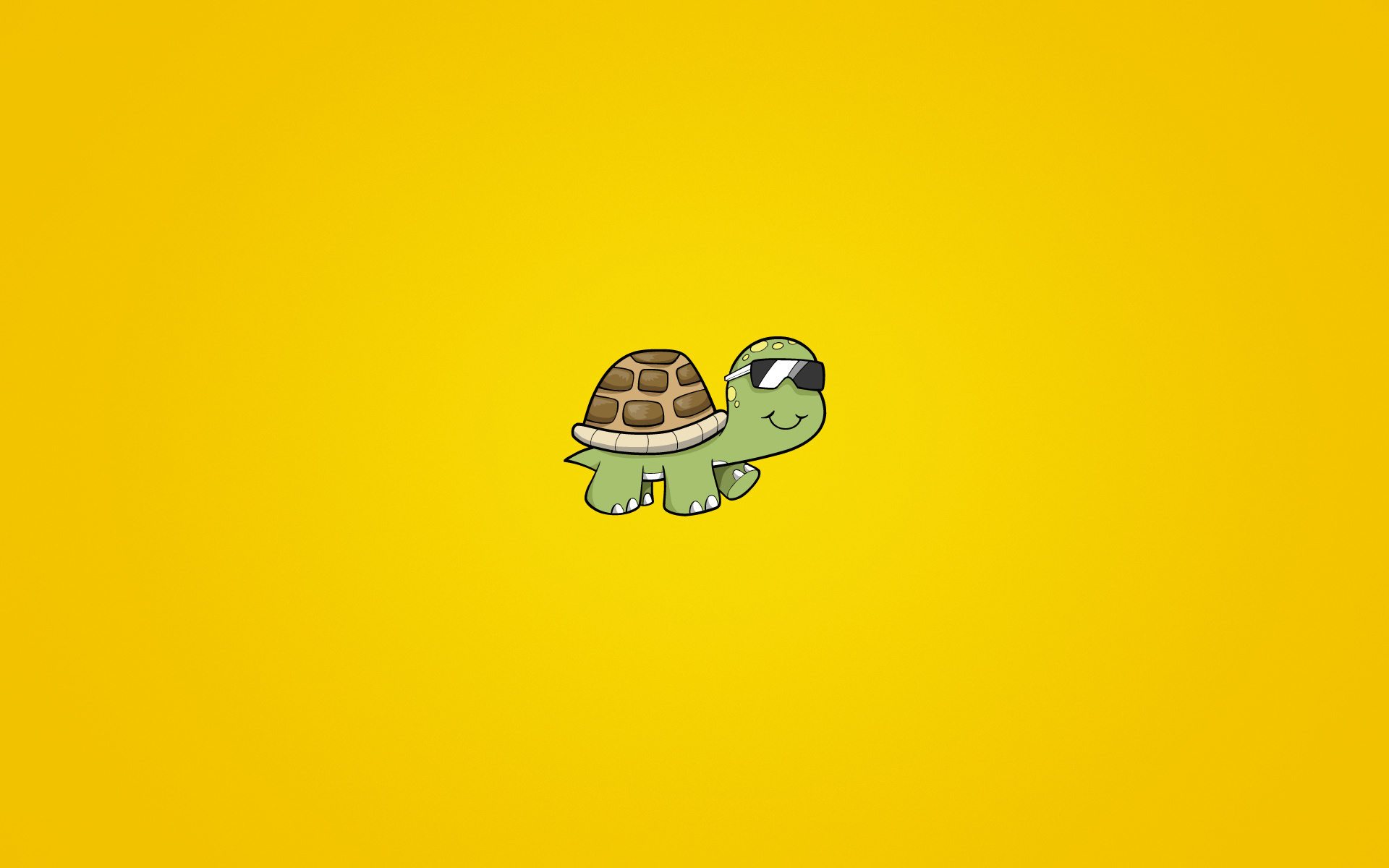 turtle,  , , , , 