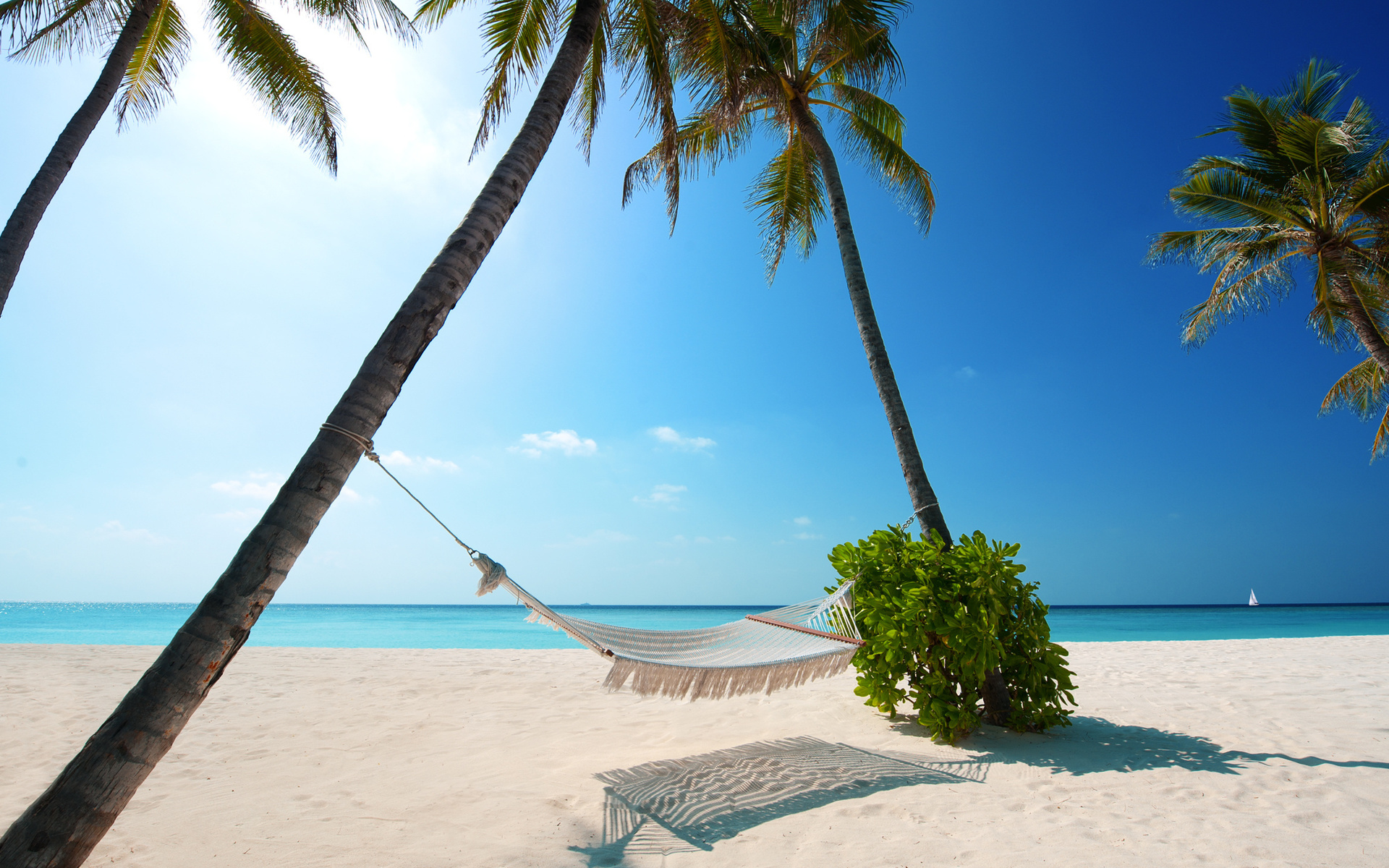 boat, Beaches, palm trees, green plant, hammock, white sand