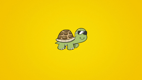 turtle,  , , , , 