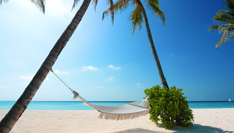 boat, Beaches, palm trees, green plant, hammock, white sand