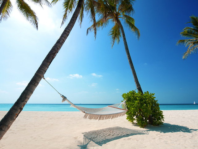 boat, Beaches, palm trees, green plant, hammock, white sand