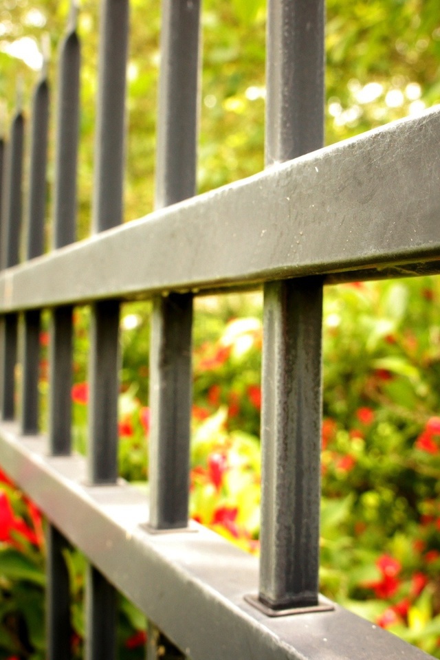 , , fence, flowers, , , , macro