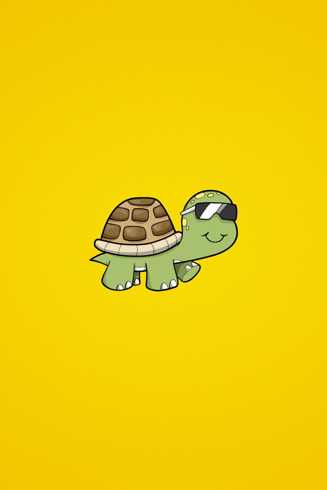 turtle,  , , , , 