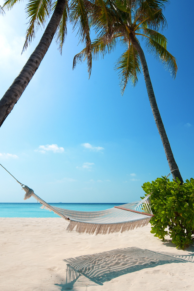 boat, Beaches, palm trees, green plant, hammock, white sand