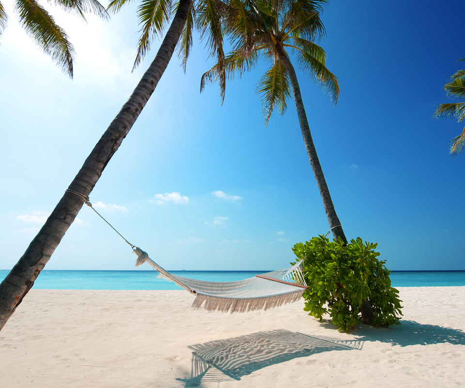 boat, Beaches, palm trees, green plant, hammock, white sand