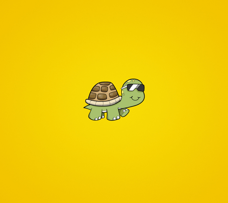 turtle,  , , , , 