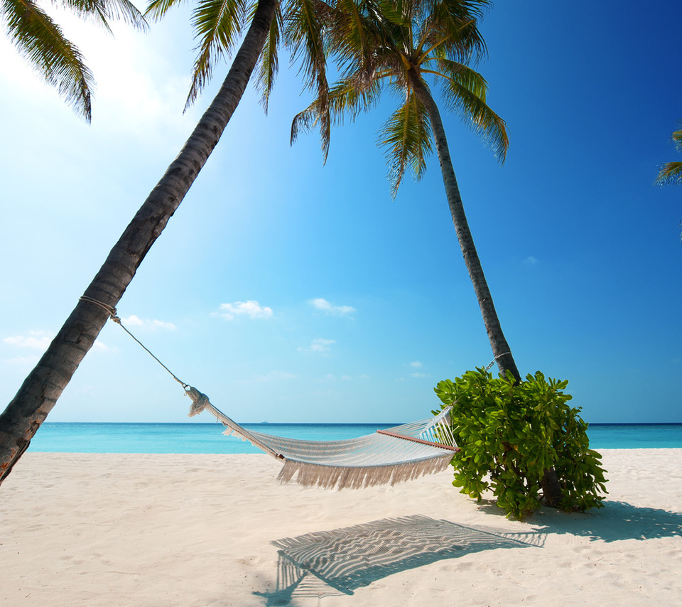 boat, Beaches, palm trees, green plant, hammock, white sand