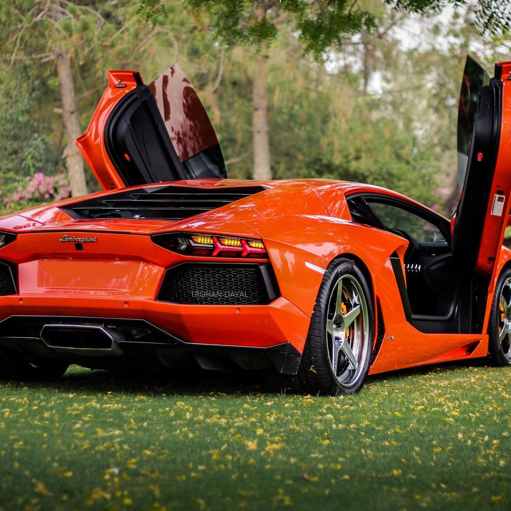 , orange, Lamborghini, lp700-4, , aventador