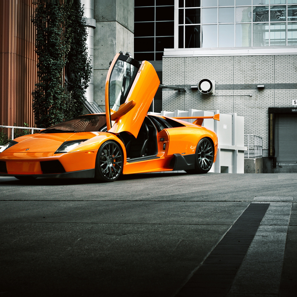 , front, , murcielago, orange, Lamborghini