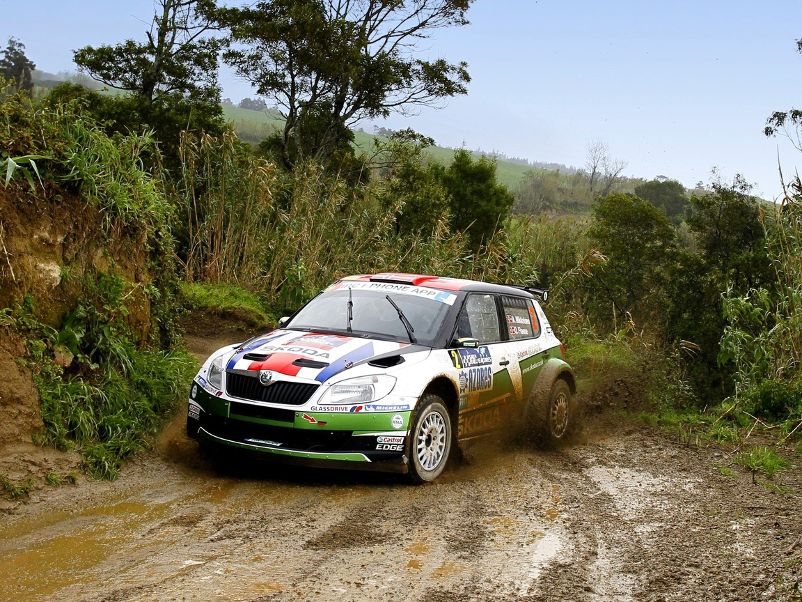 , wrc, , , Skoda, fabia, , , rally, 