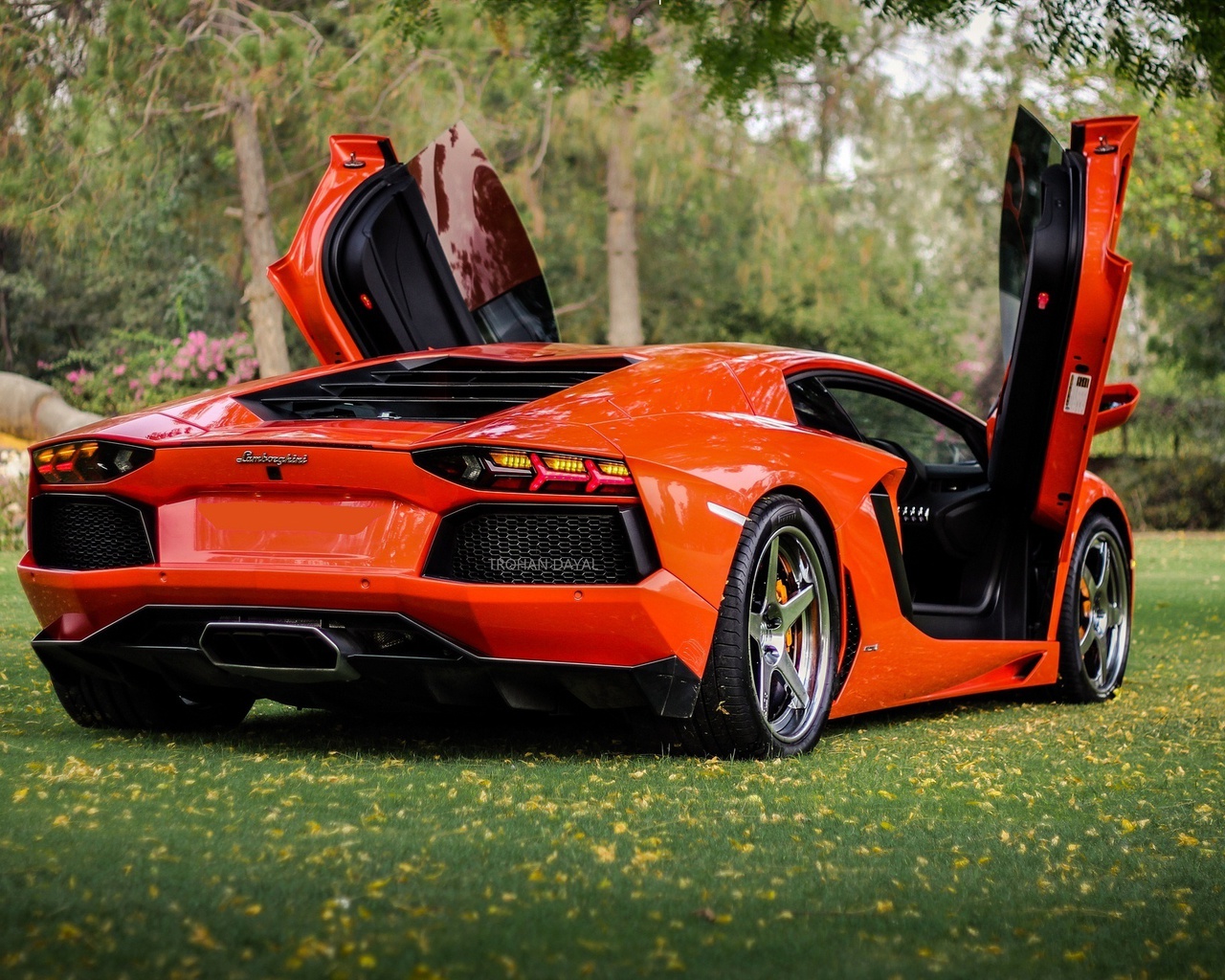 , orange, Lamborghini, lp700-4, , aventador