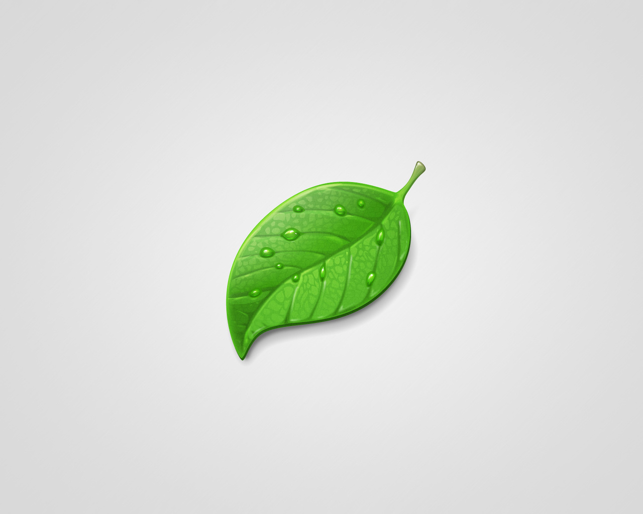 , green, leaf,  , , , 