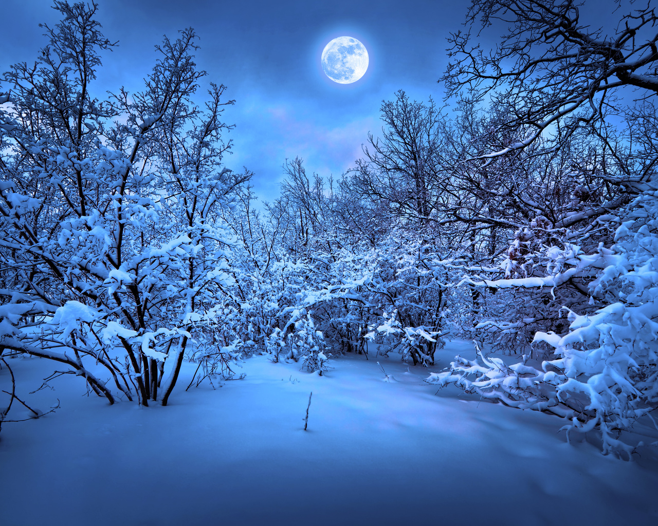 Merry christmas, magic christmas night, snow, new year, nature, trees, winter, christmas tree